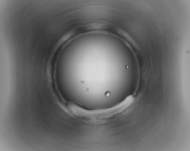 X0000114161026200910081349