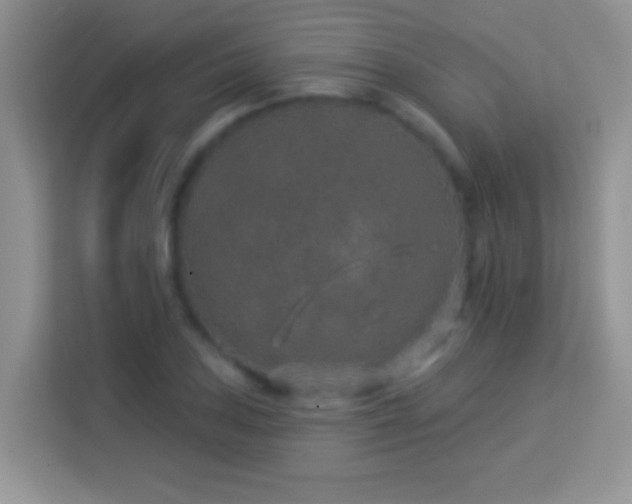 X0000114161027200910081349