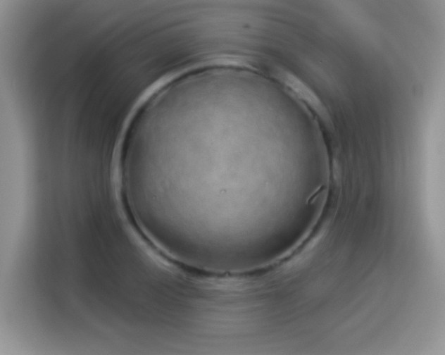 X0000114161028200910081349