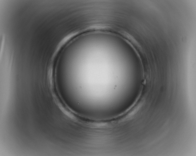 X0000114161030200910081349