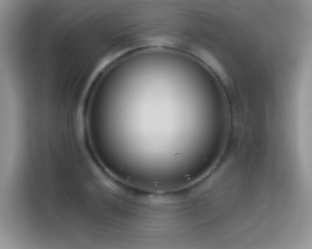 X0000114161032200910081349