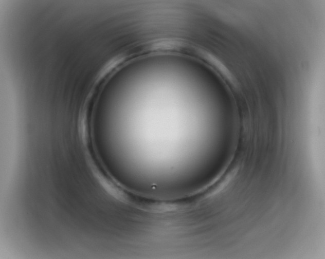 X0000114161034200910081349