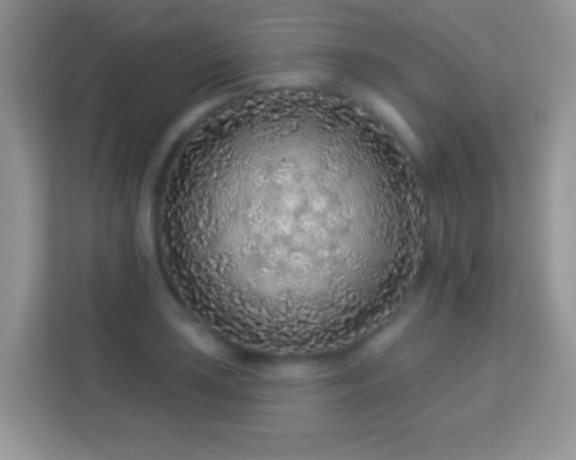 X0000114161035200910081349