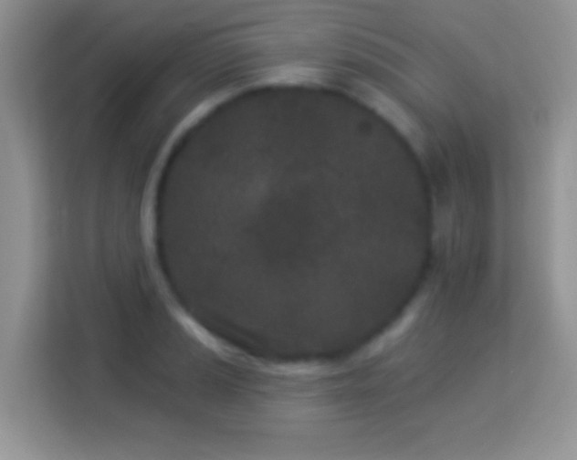 X0000114161037200910081349