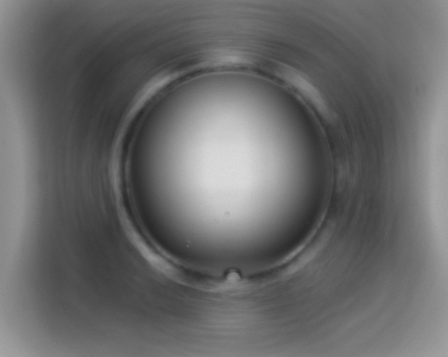 X0000114161038200910081349