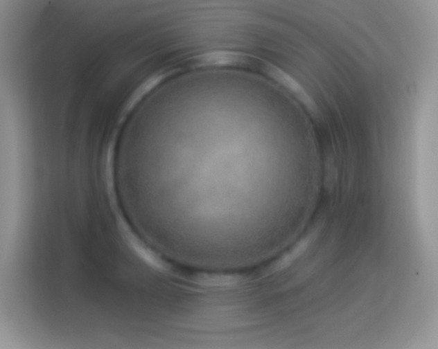 X0000114161039200910081349