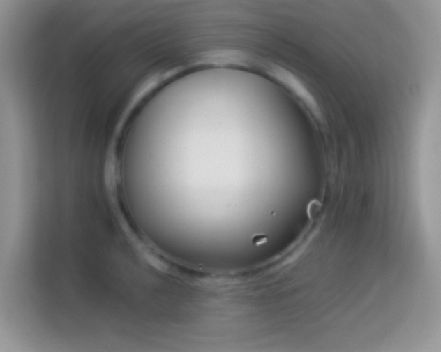 X0000114161040200910081349