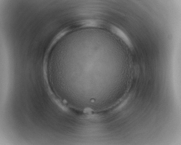 X0000114161043200910081349