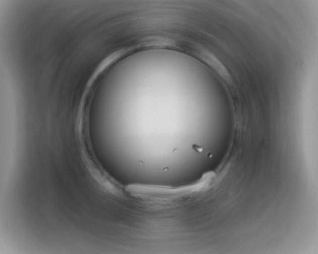 X0000114161044200910081349