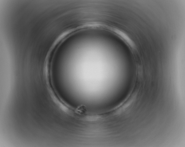 X0000114161046200910081349