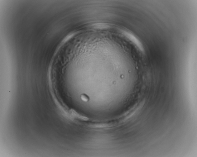 X0000114161047200910081349