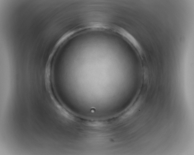 X0000114161048200910081349