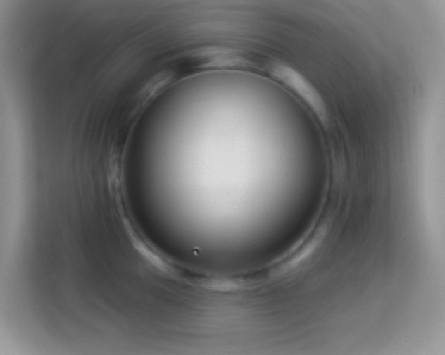 X0000114161049200910081349