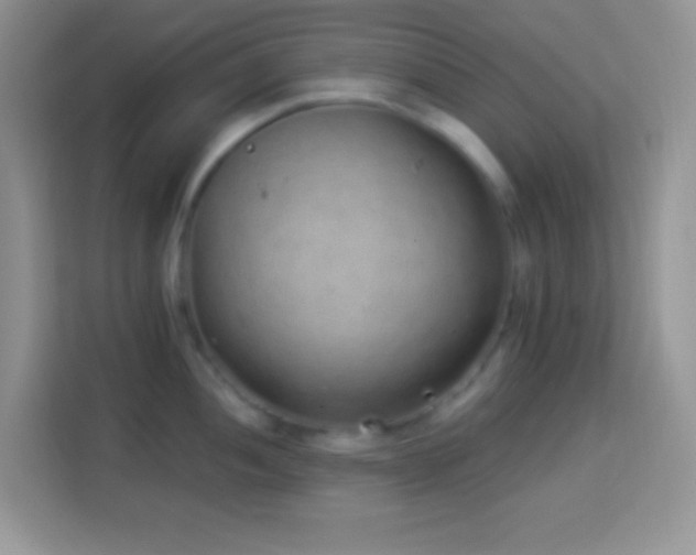 X0000114161052200910081349