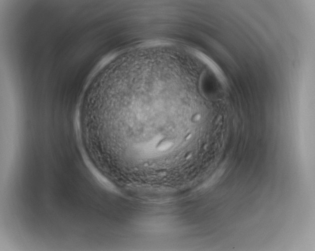 X0000114161055200910081349