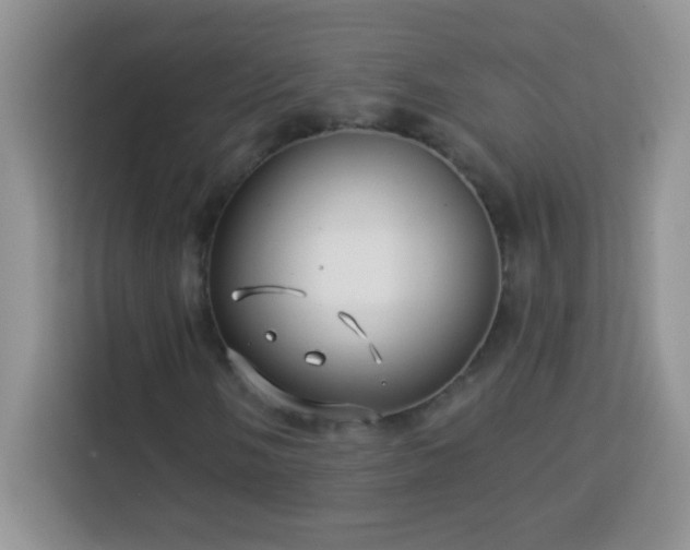 X0000114161058200910081349