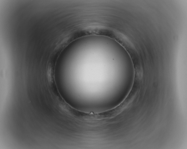 X0000114161060200910081349