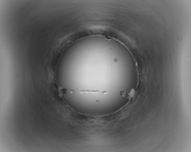 X0000114161061200910081349
