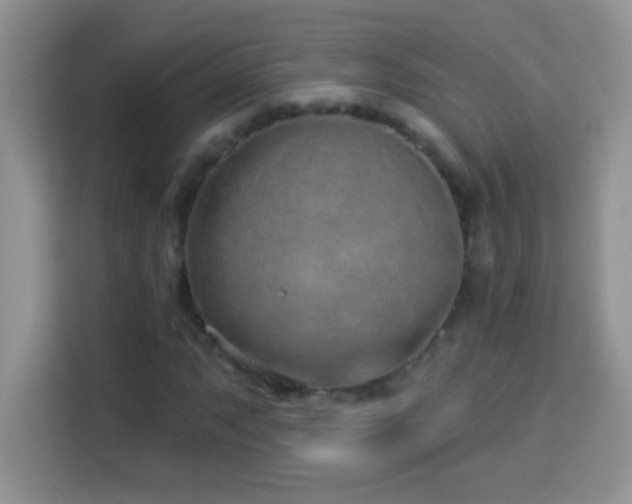 X0000114161063200910081349