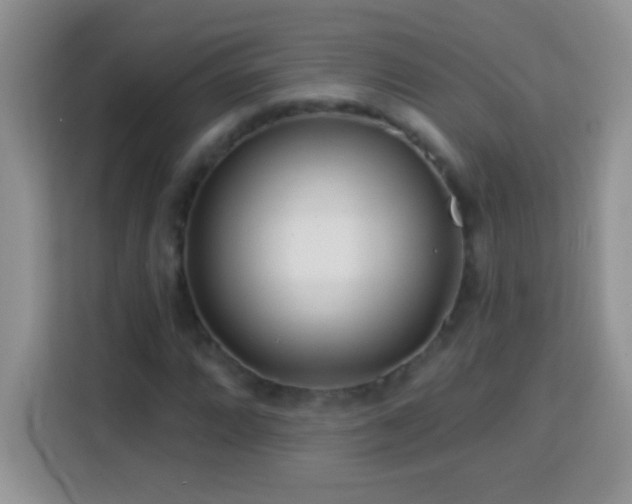 X0000114161064200910081349