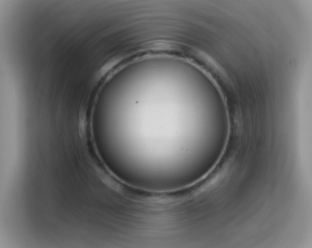 X0000114161065200910081349