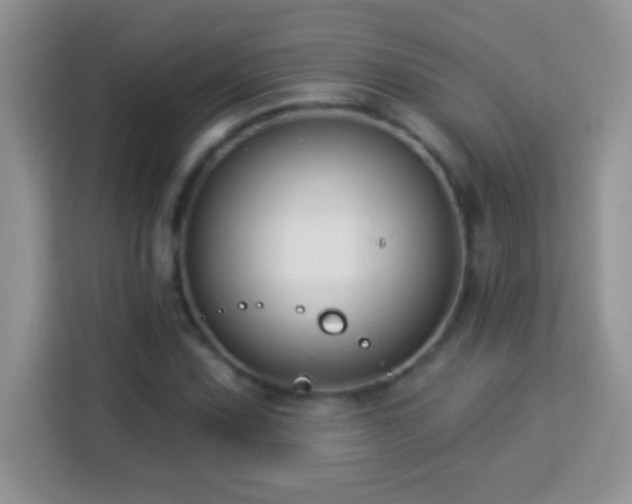 X0000114161067200910081349