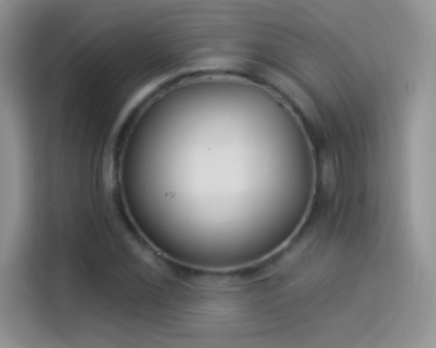 X0000114161069200910081348