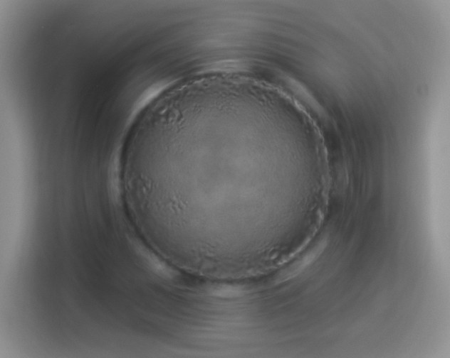 X0000114161071200910081348