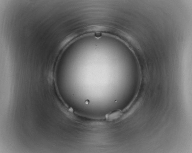 X0000114161073200910081348