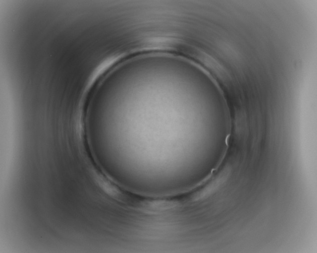 X0000114161077200910081348