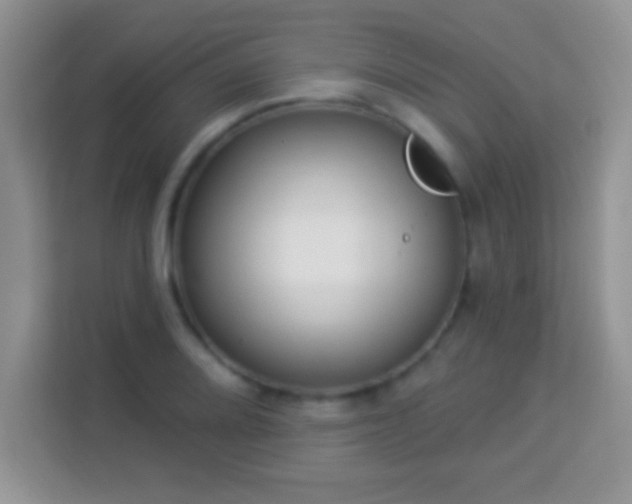 X0000114161080200910081348