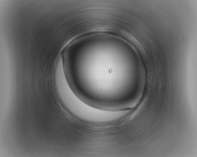 X0000114161081200910081348