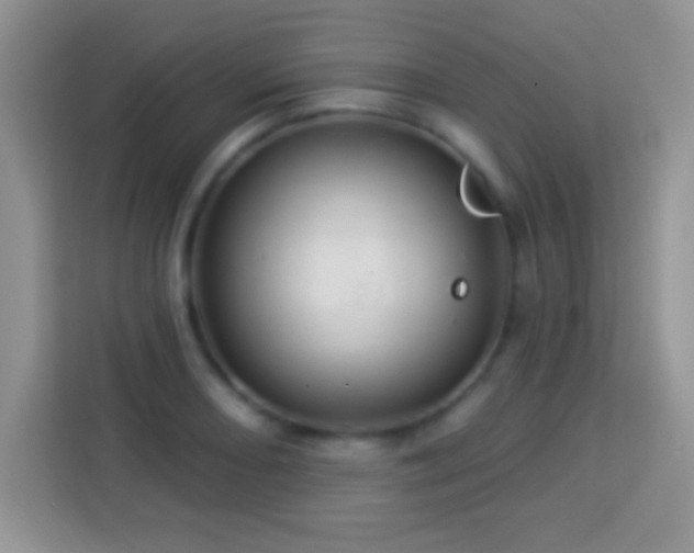 X0000114161082200910081348