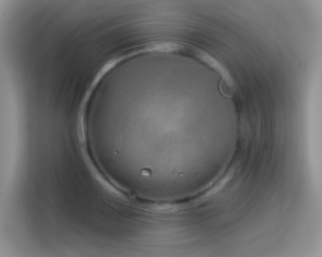 X0000114161083200910081348