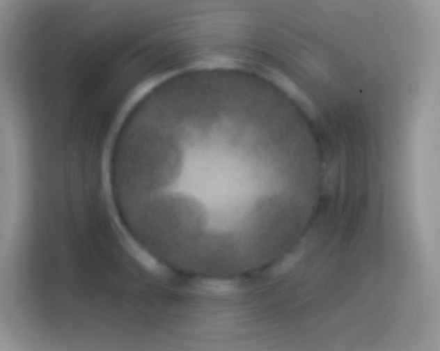 X0000114161086200910081348