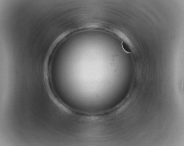 X0000114161088200910081348