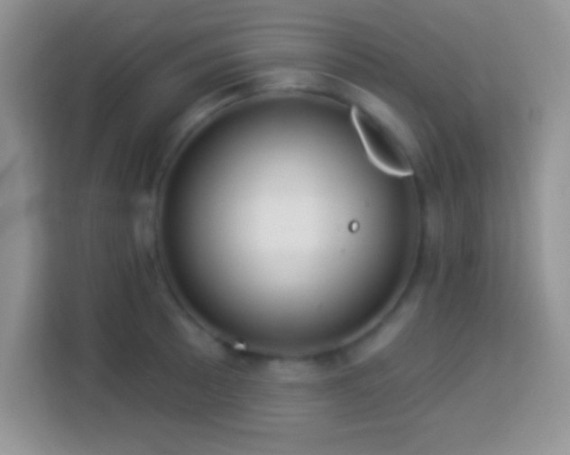 X0000114161089200910081348