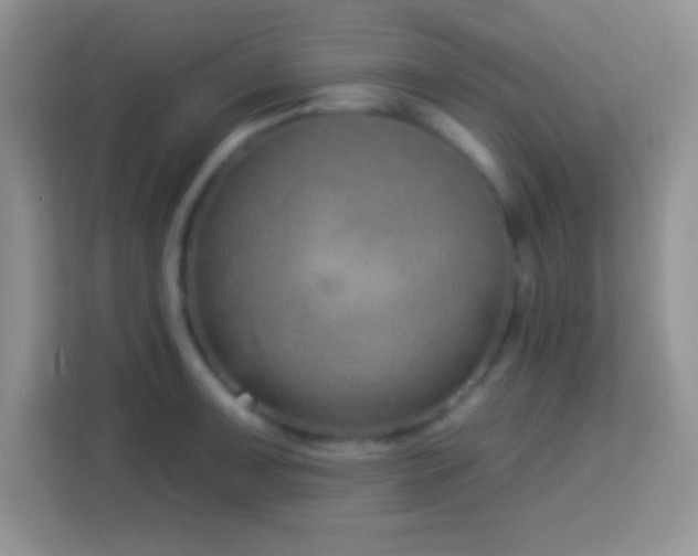 X0000114161091200910081348