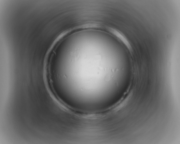 X0000114161093200910081348