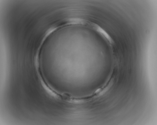 X0000114161095200910081348