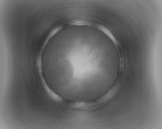 X0000114161098200910081348
