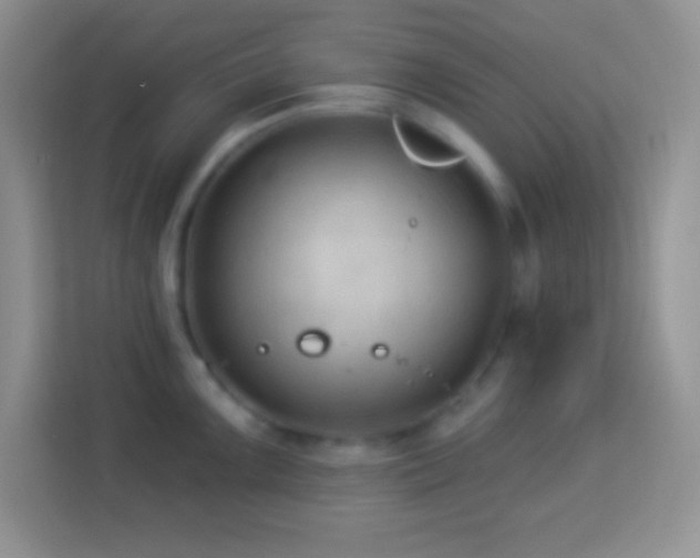 X0000114161099200910081348