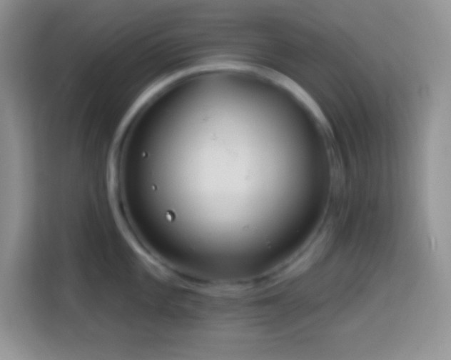 X0000114161101200910081348