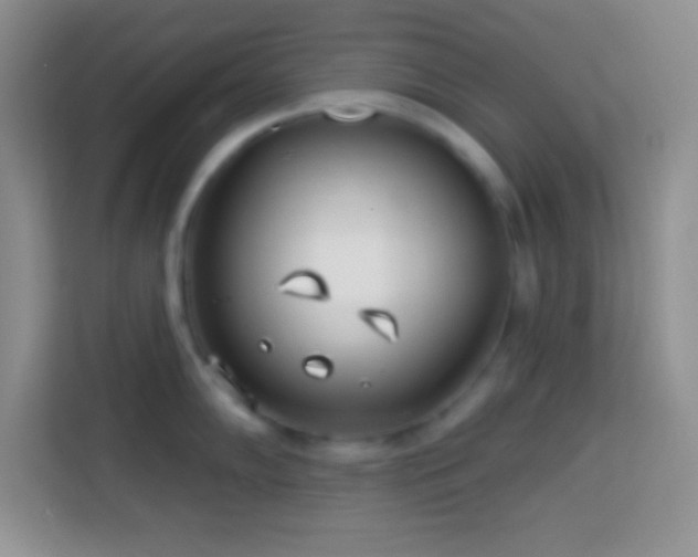 X0000114161102200910081348