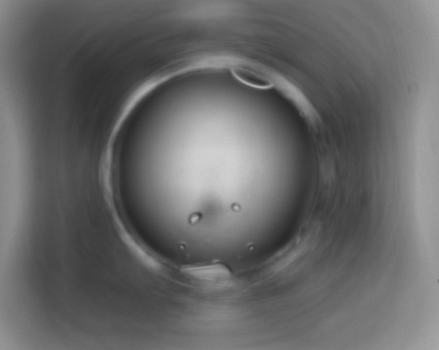 X0000114161103200910081348