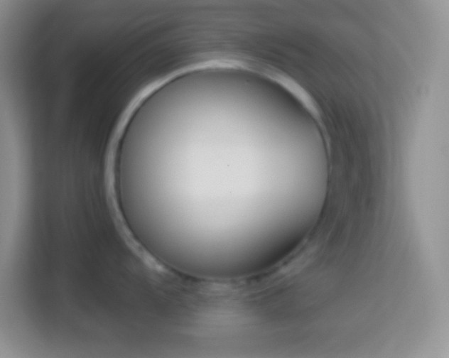 X0000114161104200910081348