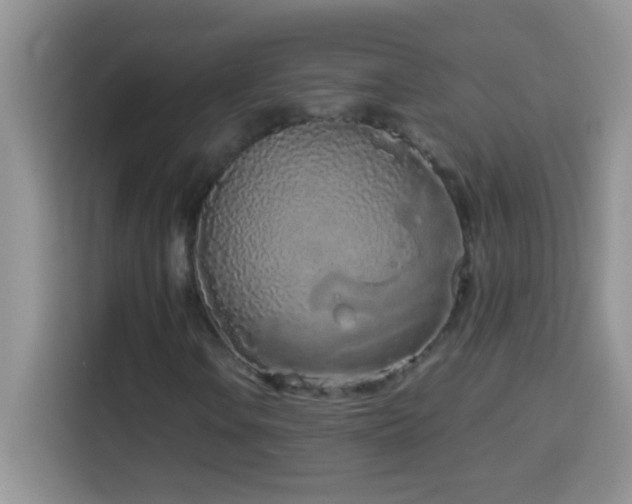 X0000114161106200910081347