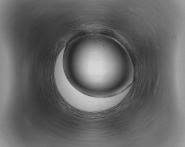 X0000114161108200910081347