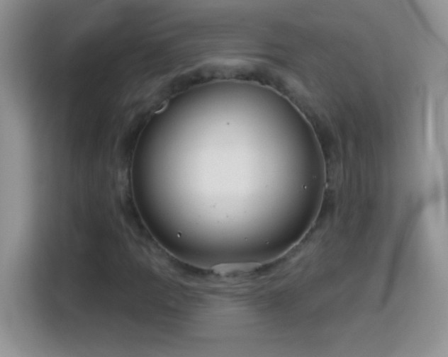 X0000114161109200910081347