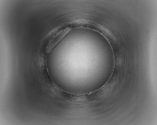X0000114161110200910081347